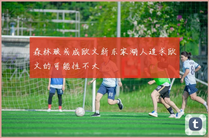 森林狼或成欧文新东家湖人追求欧文的可能性不大